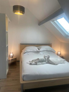 Superbe loft neuf - 1 chambre- face au Château